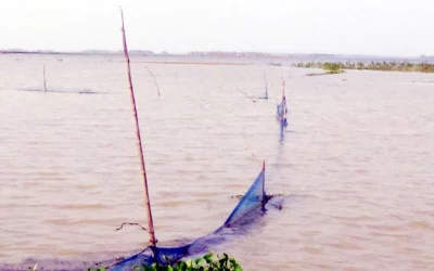 The affected farmers sought assistance from the government and demanded that it take measures to provide them with interest-free loans so they can revive DHAKA TRIBUNE