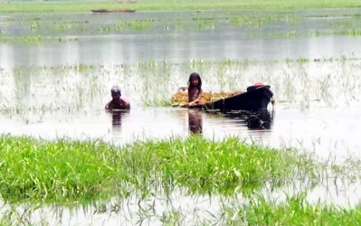 Fish worth around Tk5cr have floated away in Habiganj, after a flash flood triggered by heavy rain and the onrush of water from hilly areas across the border left fishery owners devastated DHAKA TRIBUNE