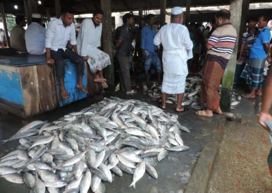 The prices are not too high, nor low u2013 it is somewhere in the middle at the moment. This way, fishermen and small trawler owners will be able to recover their costs and repay their outstanding loans soon | Dhaka Tribune