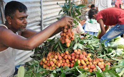 A vendor holds up a bushel of ripe lychees to lure prospective buyers | Azahar Uddin/Dhaka Tribune