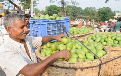 A vendor proudly shows off the fruits of his labour in Puthia bazar in Rajshahi | Azahar Uddin/Dhaka Tribune