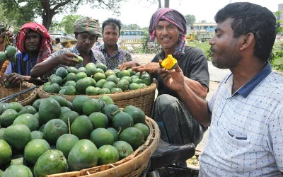 A group gathers round to take the first bite of the seasons first mango harvest | Azahar Uddin/Dhaka Tribune