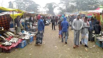 A three-day fish fair has kicked off at Sherpur on the bank of the Kushiara River under Moulvibazar Sadar upazila. Villages there have turned into a festive wonderland as this yearu2019s edition of the localityu2019s 200-year old fish fair kicked off on January 13, 2018||Dhaka Tribune