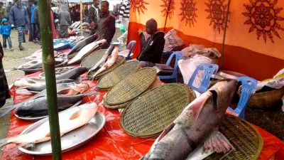 A three-day fish fair has kicked off at Sherpur on the bank of the Kushiara River under Moulvibazar Sadar upazila. Villages there have turned into a festive wonderland as this yearu2019s edition of the localityu2019s 200-year old fish fair kicked off on January 13, 2018||Dhaka Tribune