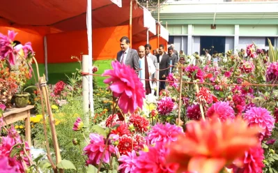 A 10-day flower fair began in Khamar Bari, Pabna on January 30, 2018. Jointly organized by the Department of Agricultural Extension and the District Nursery Owners Association, the fair welcomes visitors from 10am to 8pm every day until February 8, 2018 || Dhaka Tribune