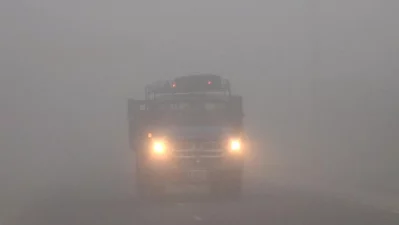 Normal life has been disrupted as a moderate cold wave is sweeping over Panchagarh. Even the cattle had to be provided with some covering of jute sacks over the rumps to battle the pinching weather|| Dhaka Tribune