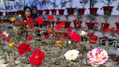 Flower fairs are now a prelude to spring, the season of new beginnings || Dhaka Tribune
