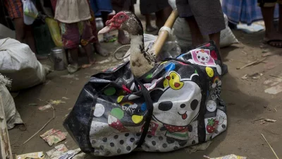 In this Thursday, September 7, 2017 photo, a duck pops its neck out of a bag, carried across the border from Myanmar into Bangladesh by fleeing Rohingya Muslim in Teknaf area AP