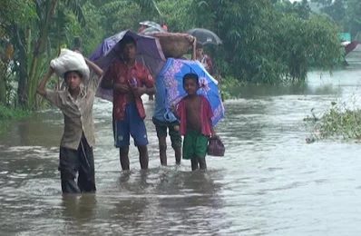 The flood water, in Sunamganj, has damaged around 700 hectares of Aman rice and 5000 hectares of Rupa Aman rice crops | Dhaka Tribune