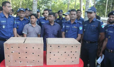 Police rescued four tiger and lion cubs that they said were being smuggled to India on November 13, 2017rnPhoto: MD TAUHID-UZ-ZAMAN