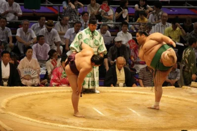 A Sumo Story