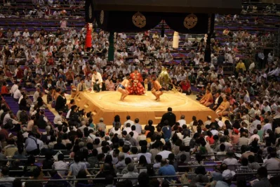 A Sumo Story