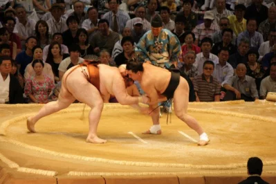 A Sumo Story