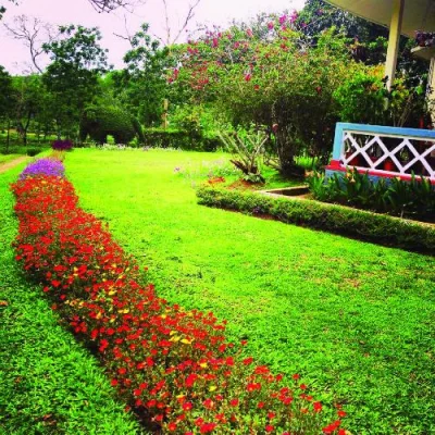 Colonial Bungalow, Sylhet: Living in the heart of the tea gardens!