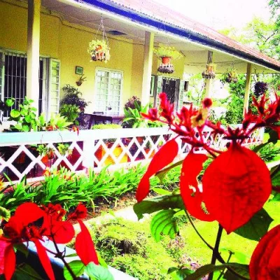 Colonial Bungalow, Sylhet: Living in the heart of the tea gardens!