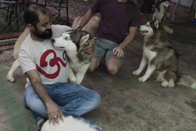 This photo taken on July 15, 2017 shows a customer playing with dogs at a dog coffee shop in Yangon | AFP