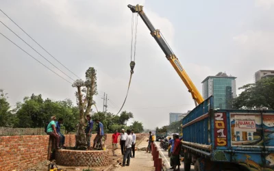 The trees will adorn both sides of the Airport Road from Zia Colony to Hajrat Shahjalal International Airport  | Syed Zakir Hossain/Dhaka Tribune - 