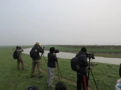 Like most other wetland ecosystems in Bangladesh, Hakaluki Haor goes abuzz with flocks of migratory birds in the months of January and February. This is the high time for the birders to carry out their survey of the Haors winged guests of winter || Courtesy