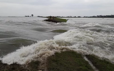 In Moulvibazar, which experiences the most rainfall in Bangladesh, at least 12,800 acres of Boro paddy went under water DHAKA TRIBUNE
