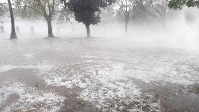 Similar information was provided by Nageshhor upazila and Ramkhana union agricultural officers about Boro paddy fields. But farmers from Naodanga and Kashimpur upazila have lamented of the damage of their bitter gourd fields and lychee and mango groves | Ariful Islam/Dhaka Tribune