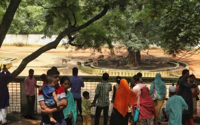 Abundance and ease of viewing has made the deer enclosures among the more popular attractions at the zoo | Rajib Dhar/Dhaka Tribune