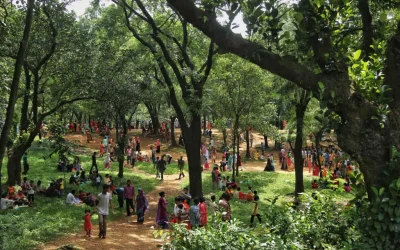 In the zoo, the verdant environment makes it one of the few places to get fresh air, albeit musky when near the cages | Rajib Dhar/Dhaka Tribune
