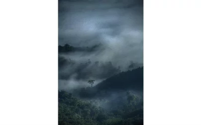 Photo: GSon Biswas