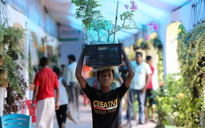 In pictures: Tree Fair 2018