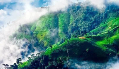 7 Amazing must visit unique tourist attractions in Bangladesh