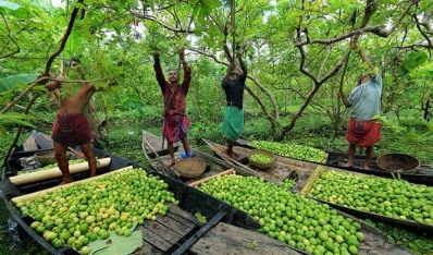 7 Amazing must visit unique tourist attractions in Bangladesh