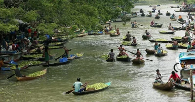 Floating market of guavas Syed Zakir Hossain/Dhaka Tribune