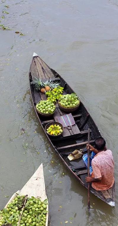 Floating market of guavas Syed Zakir Hossain/Dhaka Tribune