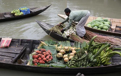 Farmers trading guavas at the floating market in Bhimruli Syed Zakir Hossain/Dhaka Tribune