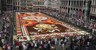 The picture  shows the installation of the annual Flower Carpet on the Grand Place - Grote Markt Square in the city center of Brussels AFP
