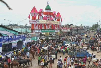 Gabtoli cattle market in the capital witnessed increasing number of sacrificial animals Rajib Dhar/Dhaka Tribune