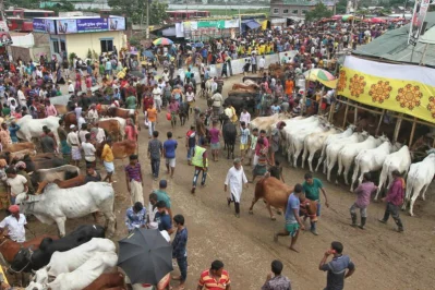Gabtoli cattle market drew buyers  ahead of Eid-ul-AzhaRajib Dhar/Dhaka Tribune