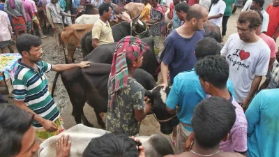 Cattle traders and buyers gather at Gabtoli haat day before Eid-ul-Azha Rajib Dhar/Dhaka Tribune