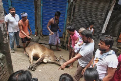 Muslims are  sacrificing animals to celebrate the historic day Rajib Dhar/Dhaka Tribune 