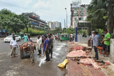 Skins of sacrificial animals are being taken away and recycled | Rajib Dhar/Dhaka Tribune