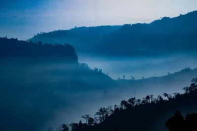 A Quest for the Great Hornbill