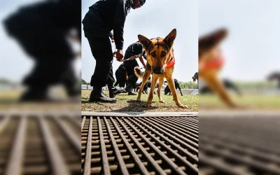 This K-9 unit officer will sniff out any contraband on your person | Rajib Dhar