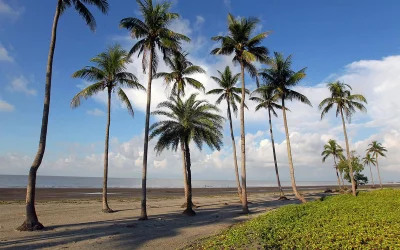 Kuakata is a wonderful place for observing the sunriseSyed Zakir Hossain/Dhaka Triune 