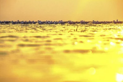 Land of silence