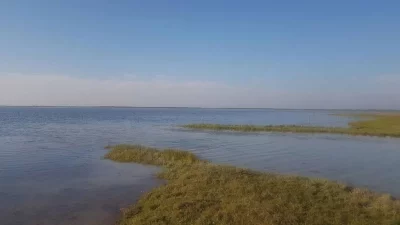Moulvibazaru2019s Hakaluki Haor and Baikka Beelnare hosting an abundance of migratory birdsnthat are flocking to the area seeking warmthnand food during the colder months. Thenstriking scenery has turned the area into anpopular tourist destinationnSaiful Islam/Dhaka Tribune