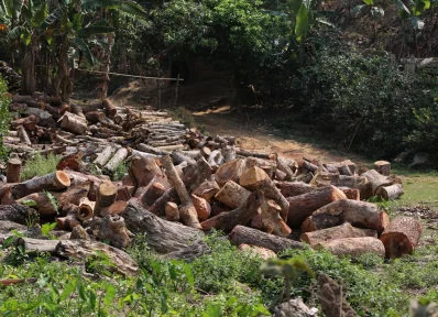 Brick kilns in Bandarban district are taking a toll on the environment of the hilly region. Brick makers are illegally cutting off hills to provide raw material for the kilns, and cutting down trees to provide fuel. Photos of the hills razed by illegal cutting were taken in Lama upazilau2019s Faitong area, while the brick kiln was in Choinga area Syed Zakir Hossain/Dhaka Tribune
