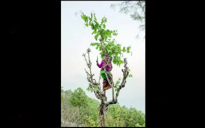 Photo: Abhinav Sharma
