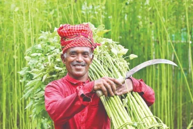 Syed Zakir Hossain