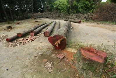 Photo: Mahmud Hossain Opu/Dhaka Tribune