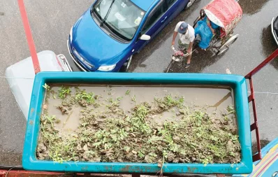 Photo: Syed Zakir Hossain/Dhaka Tribune