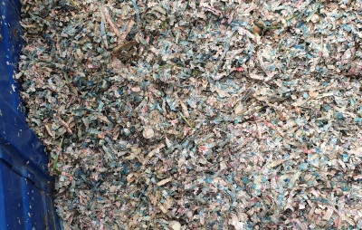 Rejected Bangladesh Bank notes found in Bogra marshland